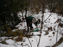 Ruth Dorrough; Trips New England Hampshire GEOCACHING